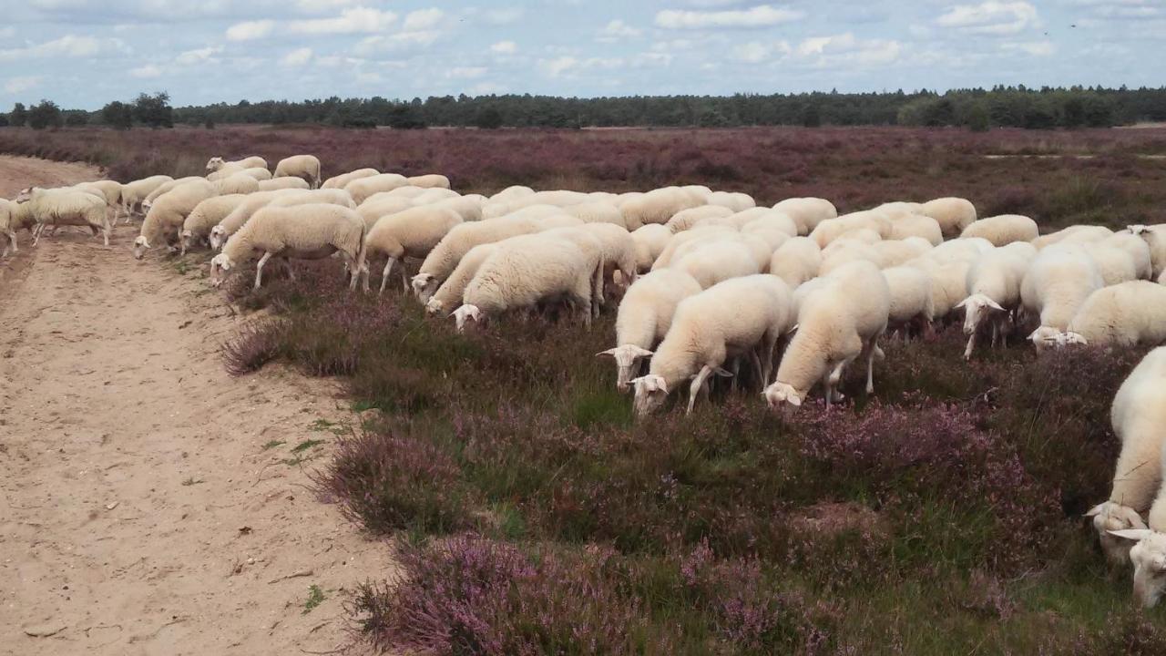 Poort Van De Veluwe Voorthuizen Exterior foto
